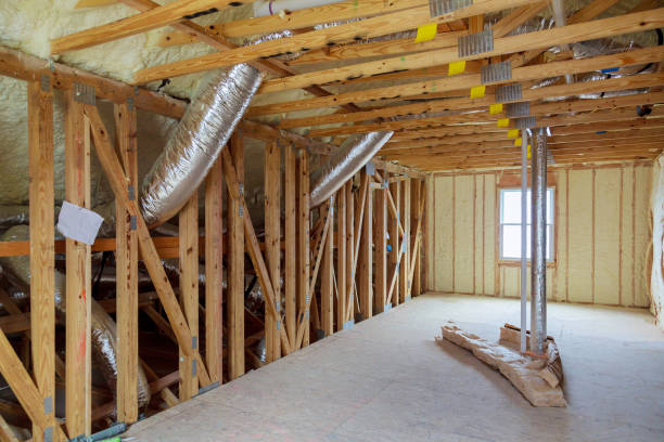 Best Insulation Removal  in Kingston, NY