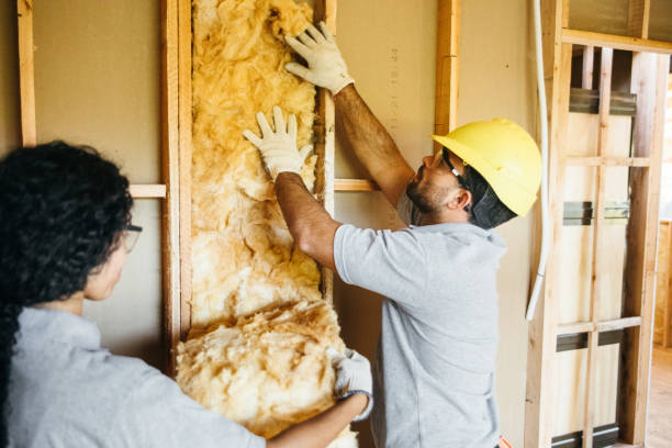 Best Insulation Installation Cost  in Kingston, NY
