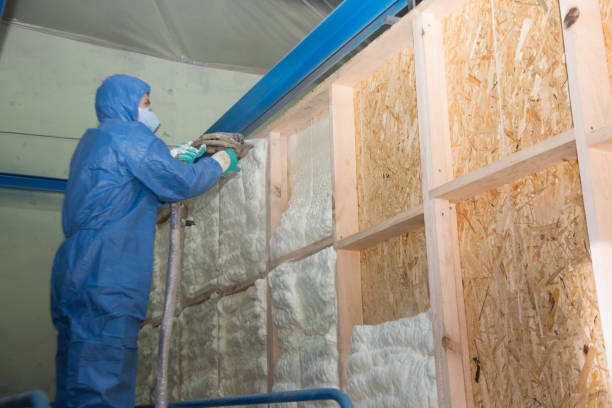 Best Insulation Repair Services  in Kingston, NY