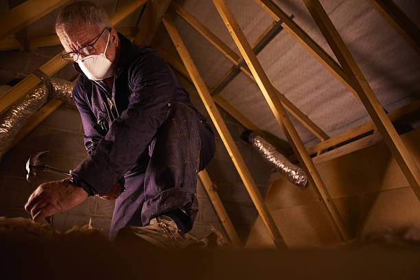 Best Home Insulation Services  in Kingston, NY